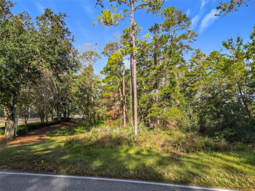 1 OAK VILLAGE BOULEVARD Homosassa, FL 34446