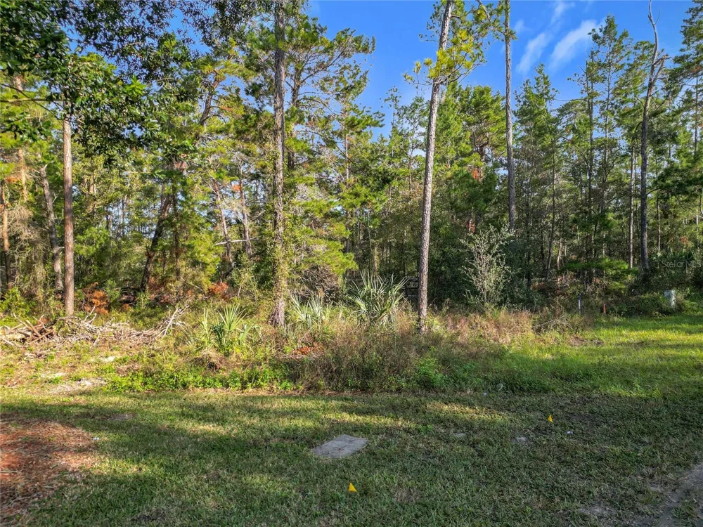 1 OAK VILLAGE BOULEVARD Homosassa, FL 34446