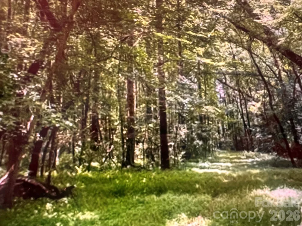 14300 Lawyers Road Mint Hill, NC 28227