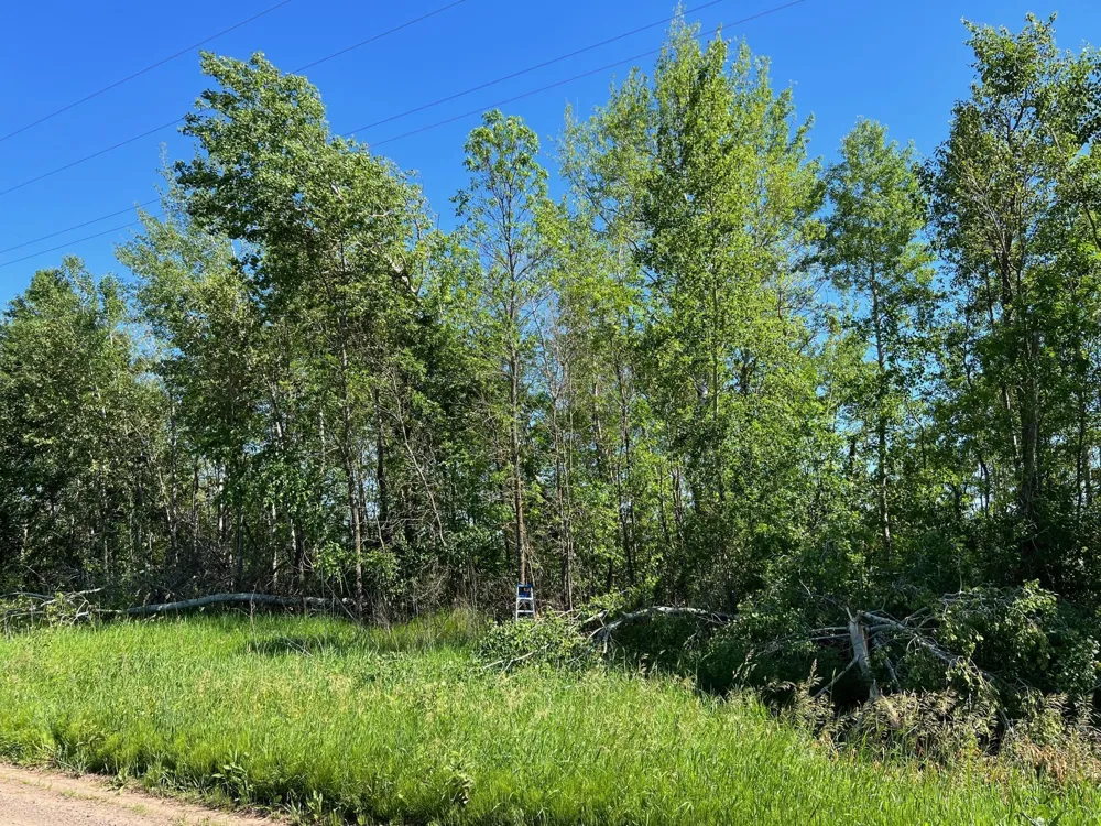 TBD Cross Park Road Hinckley, MN 55037