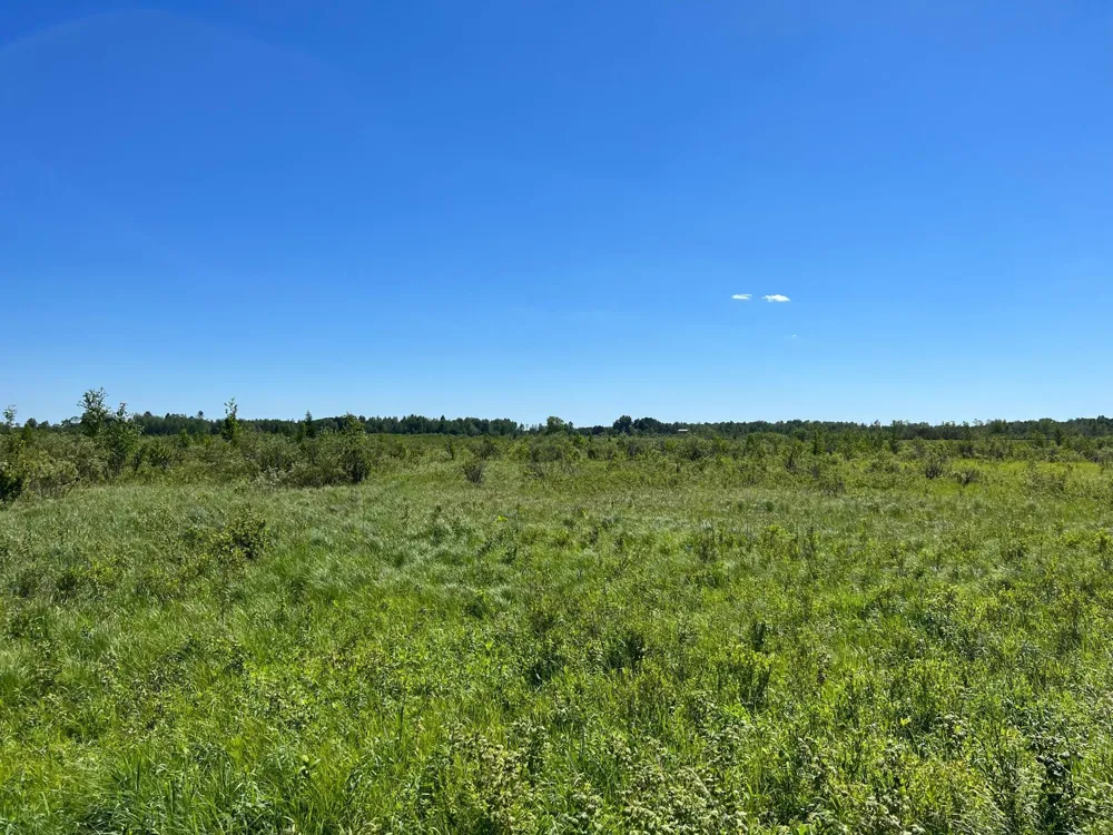 TBD Cross Park Road Hinckley, MN 55037