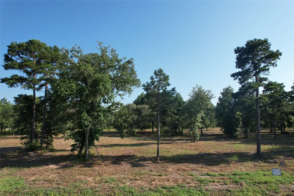3145 Shadow Pine Drive Larue, TX 75770