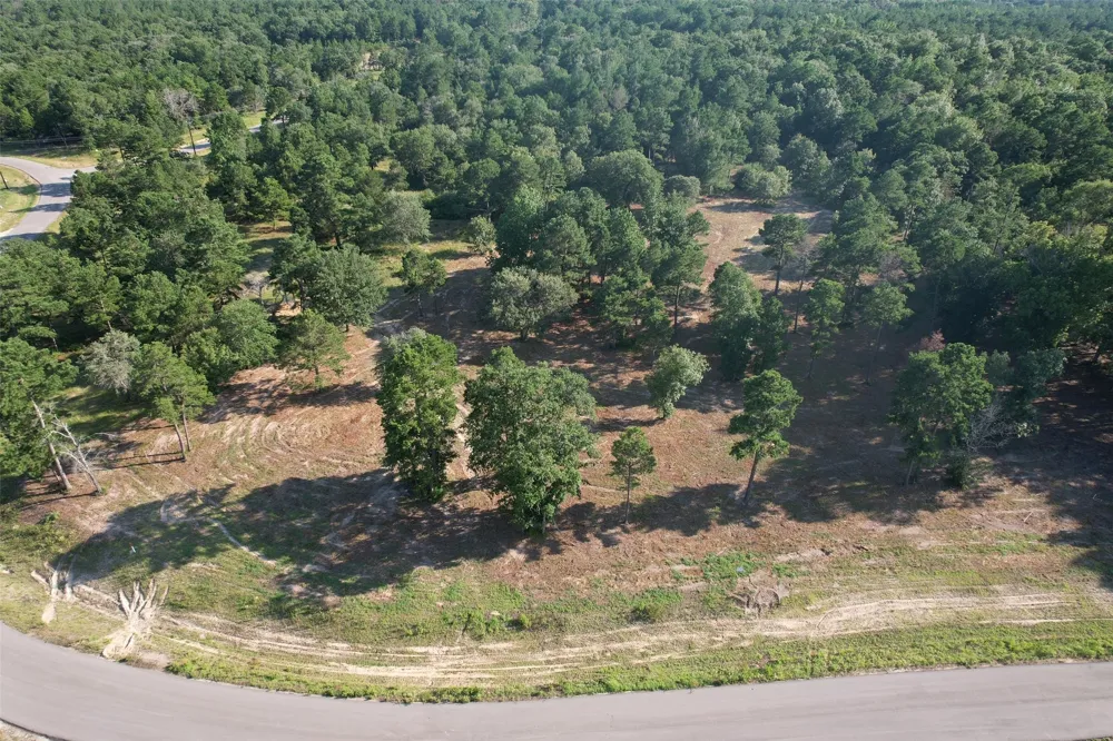 3145 Shadow Pine Drive Larue, TX 75770