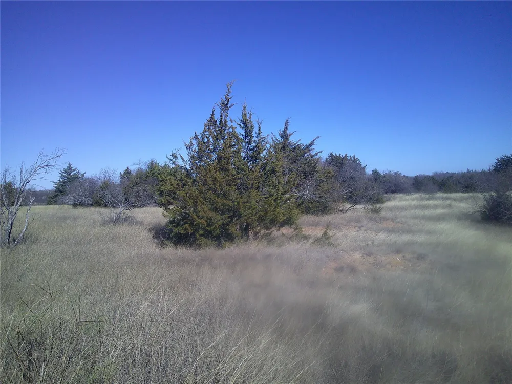 CR 1750 Chico, TX 76431
