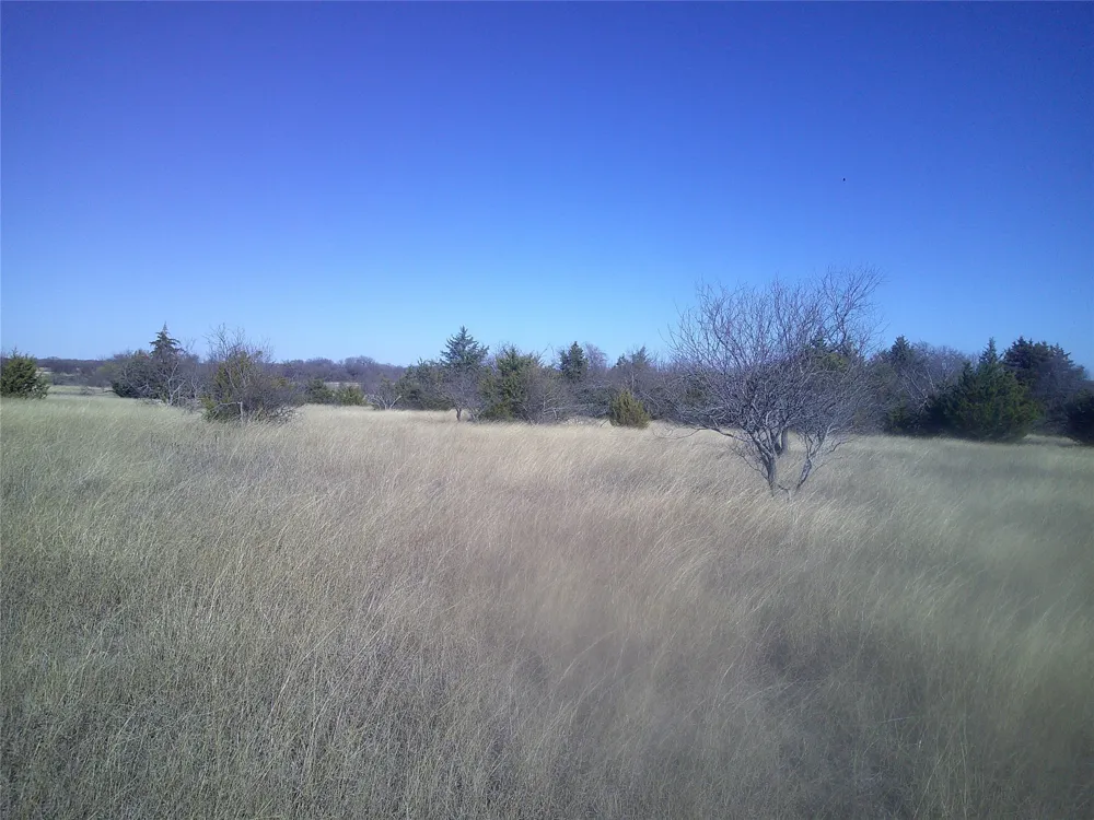 CR 1750 Chico, TX 76431