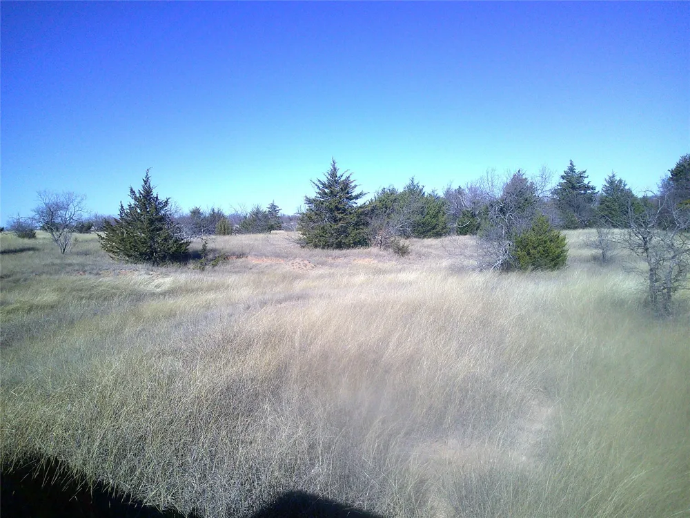 CR 1750 Chico, TX 76431