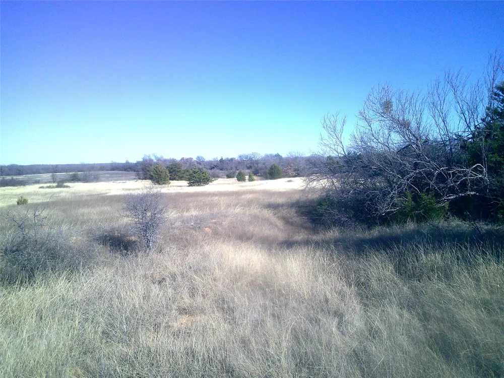 CR 1750 Chico, TX 76431