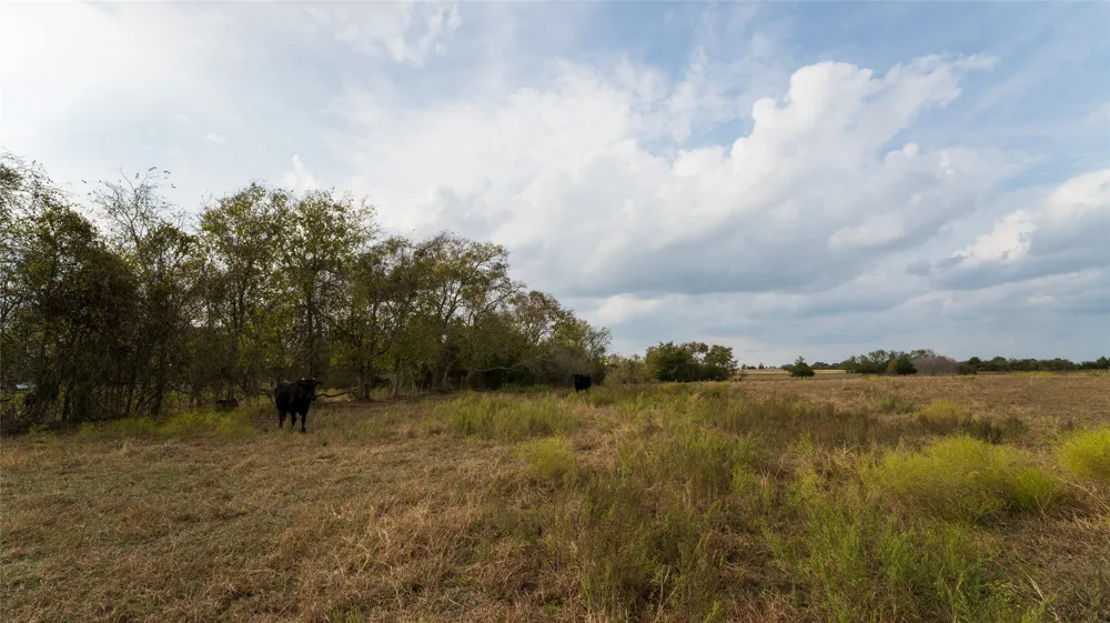 4646 Fm 2679 Road Burton, TX 77835