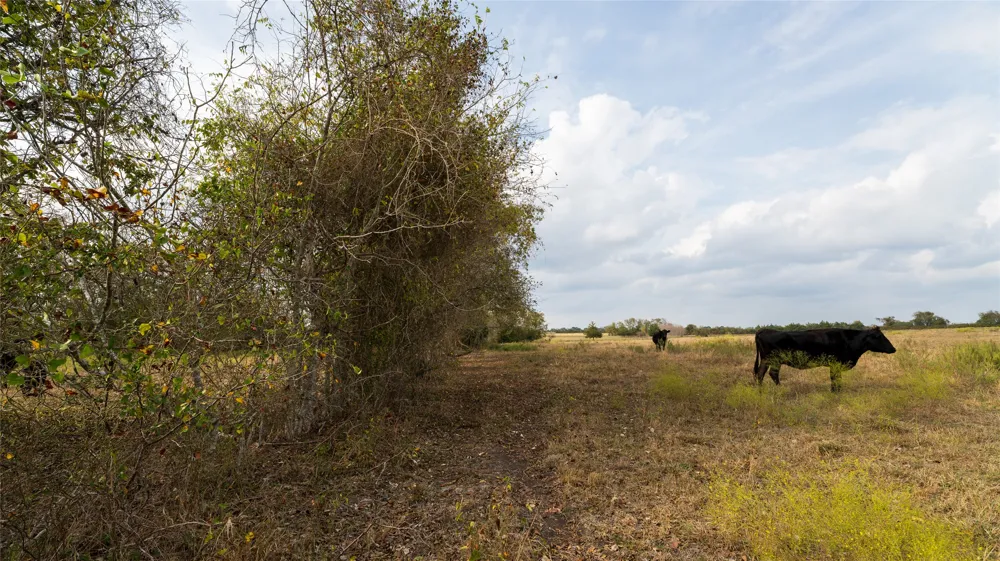 4646 Fm 2679 Road Burton, TX 77835