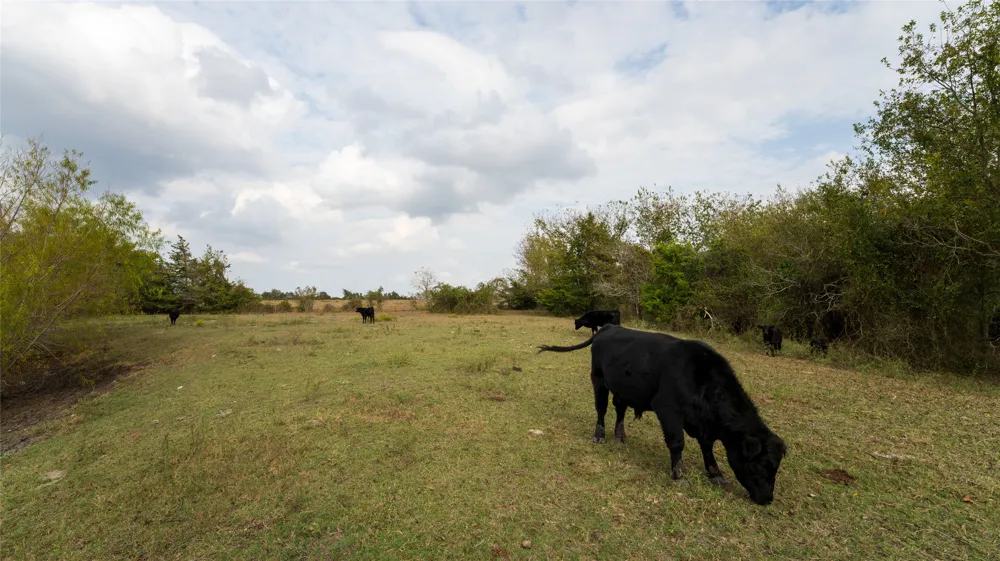 4646 Fm 2679 Road Burton, TX 77835