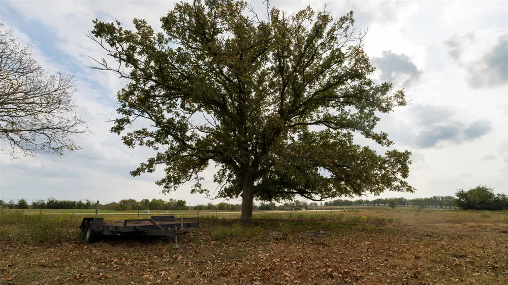 4646 Fm 2679 Road Burton, TX 77835