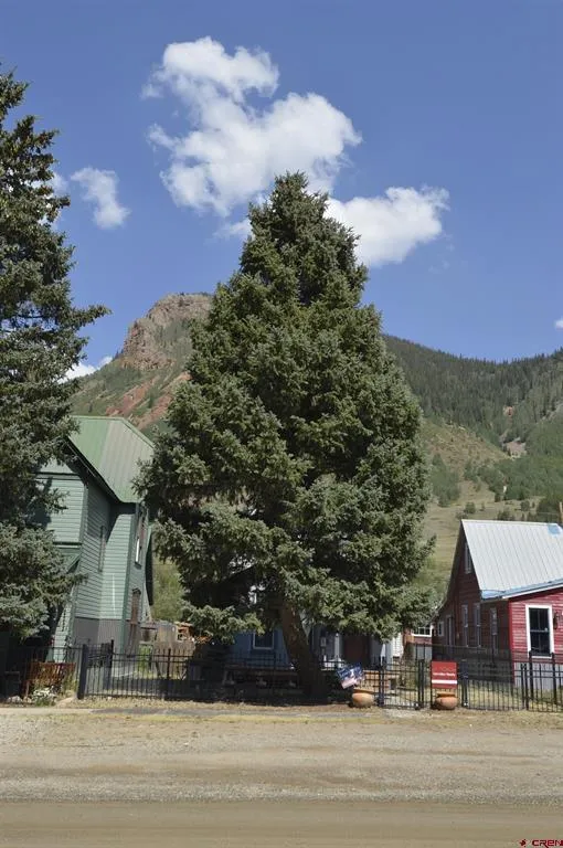 839 Reese Street Silverton, CO 81433
