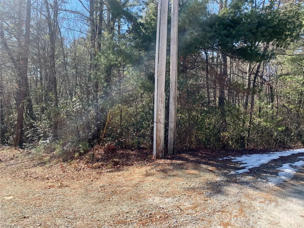 Lot 18 Oak Ridge Drive #18 Brevard, NC 28712