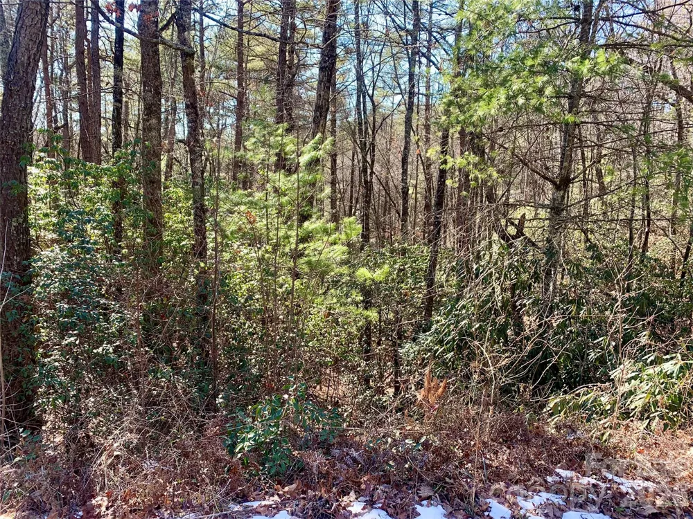 Lot 18 Oak Ridge Drive #18 Brevard, NC 28712
