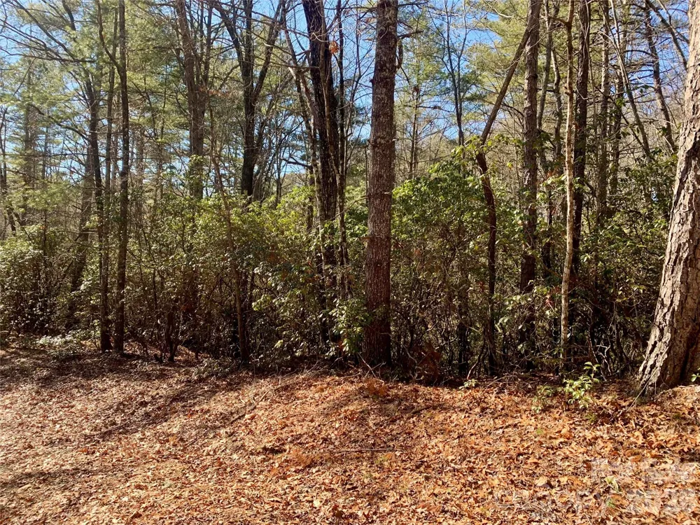 Lot 18 Oak Ridge Drive #18 Brevard, NC 28712