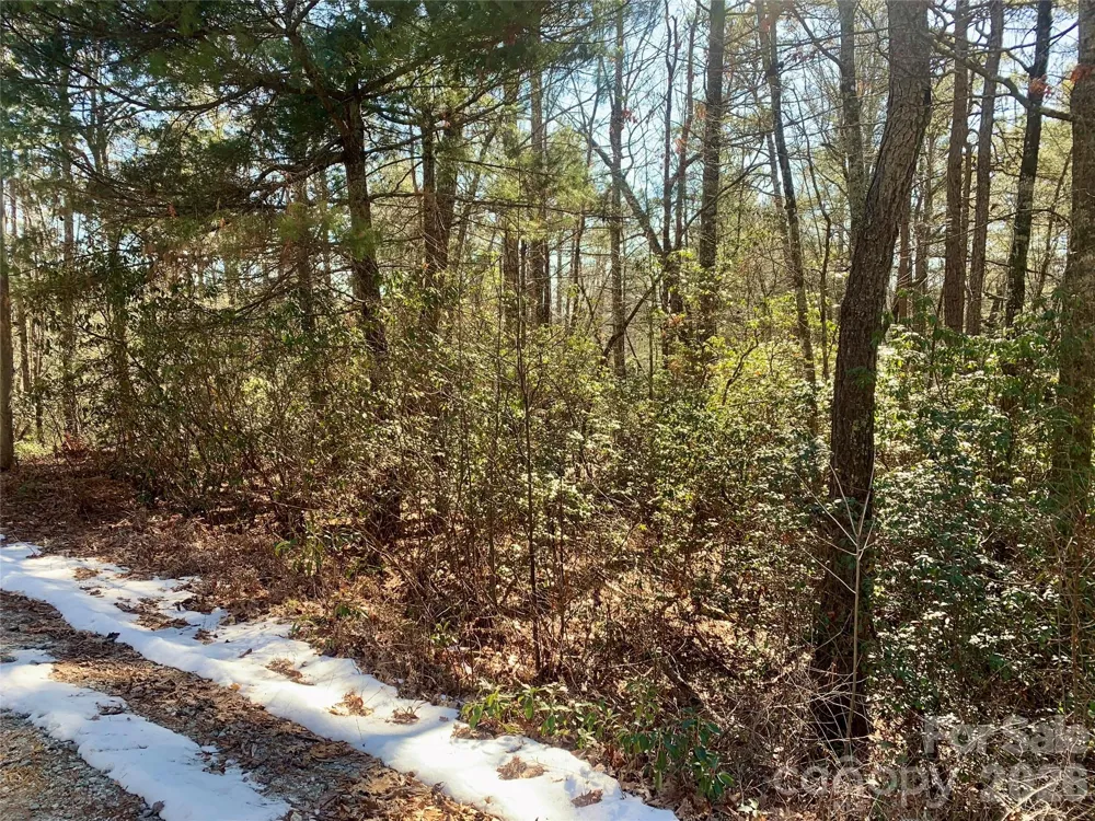 Lot 18 Oak Ridge Drive #18 Brevard, NC 28712