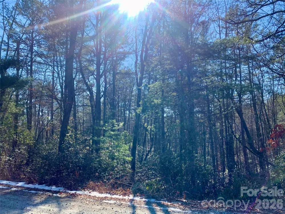Lot 18 Oak Ridge Drive #18 Brevard, NC 28712