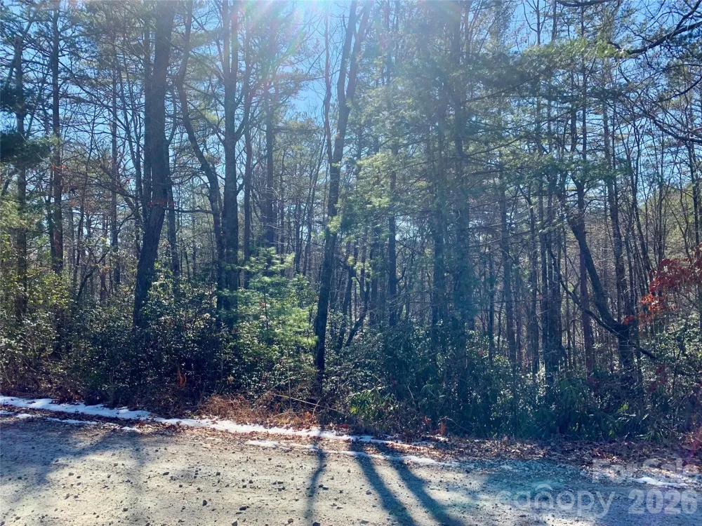 Lot 18 Oak Ridge Drive #18 Brevard, NC 28712