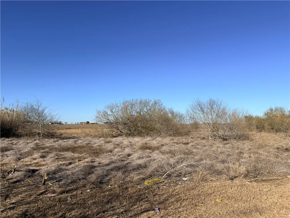 Oregon Street Bishop, TX 78343
