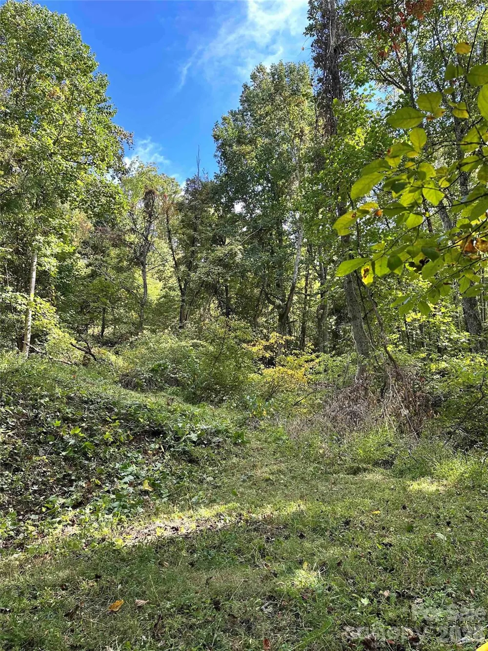 94 Locust Grove Lane Weaverville, NC 28787