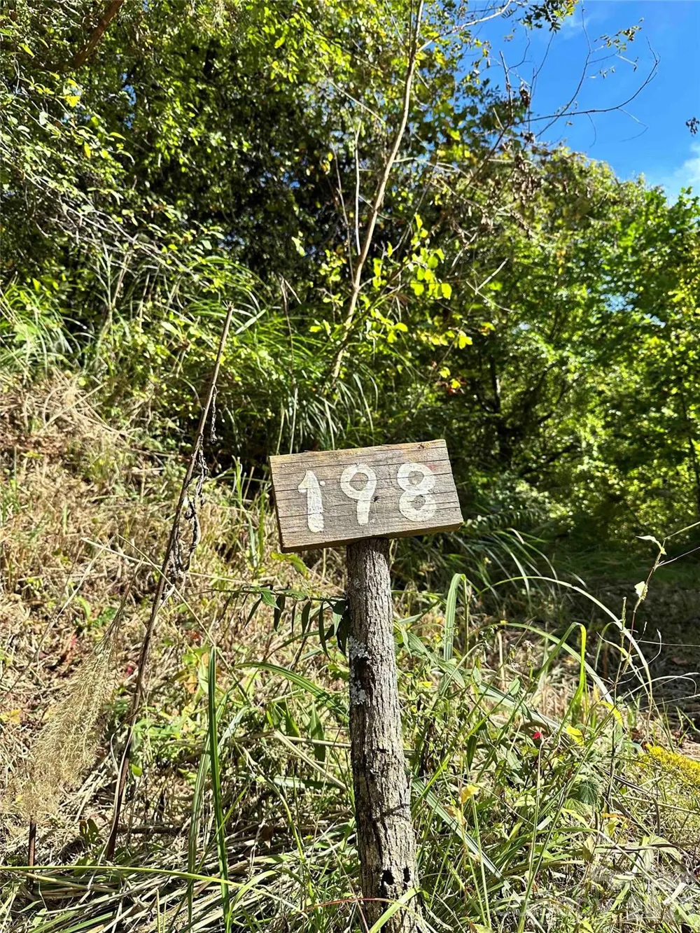 94 Locust Grove Lane Weaverville, NC 28787