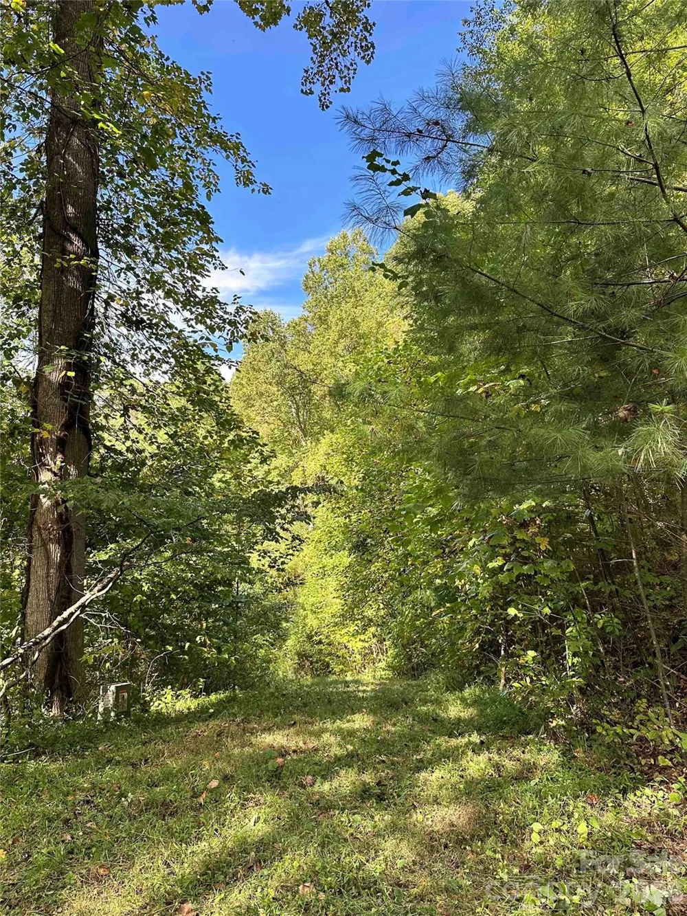 94 Locust Grove Lane Weaverville, NC 28787