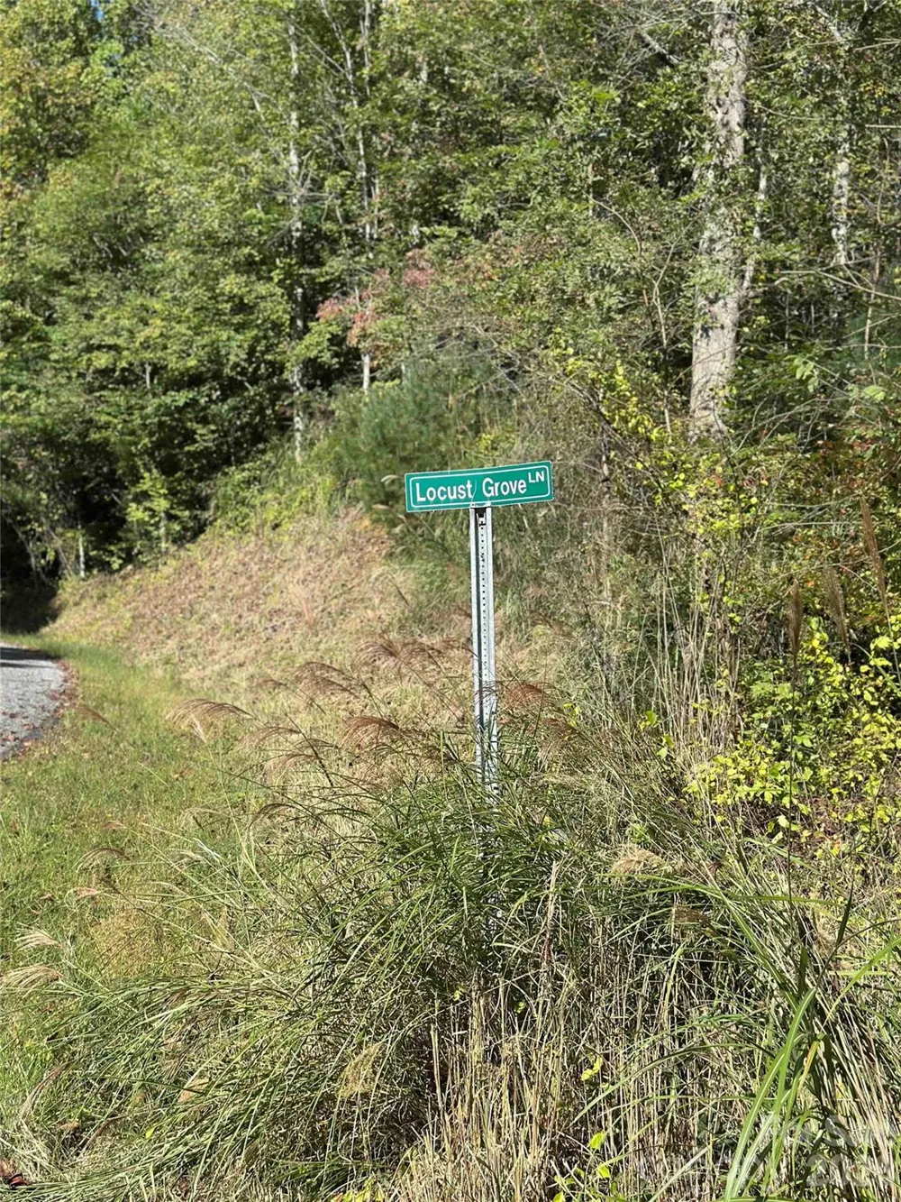 94 Locust Grove Lane Weaverville, NC 28787