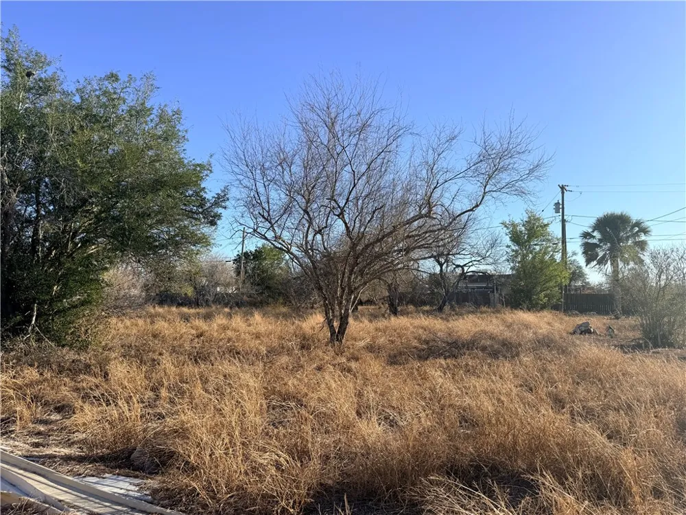 410 W 3rd Street Bishop, TX 78343