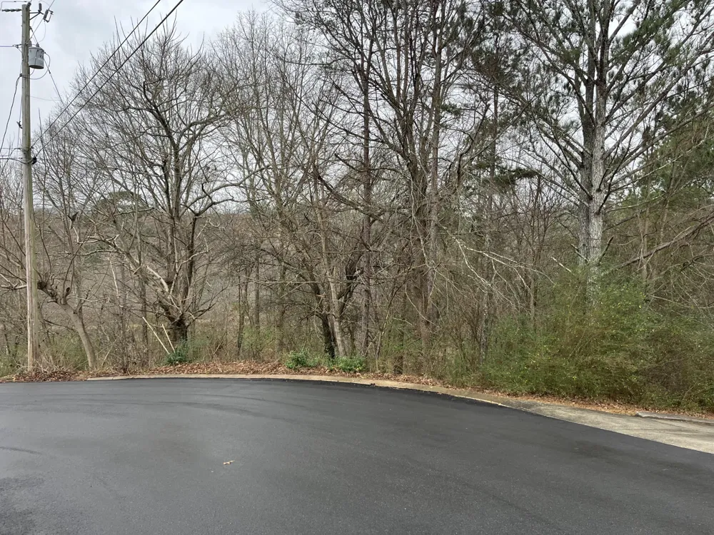 29 Cleo Circle Ringgold, GA 30736