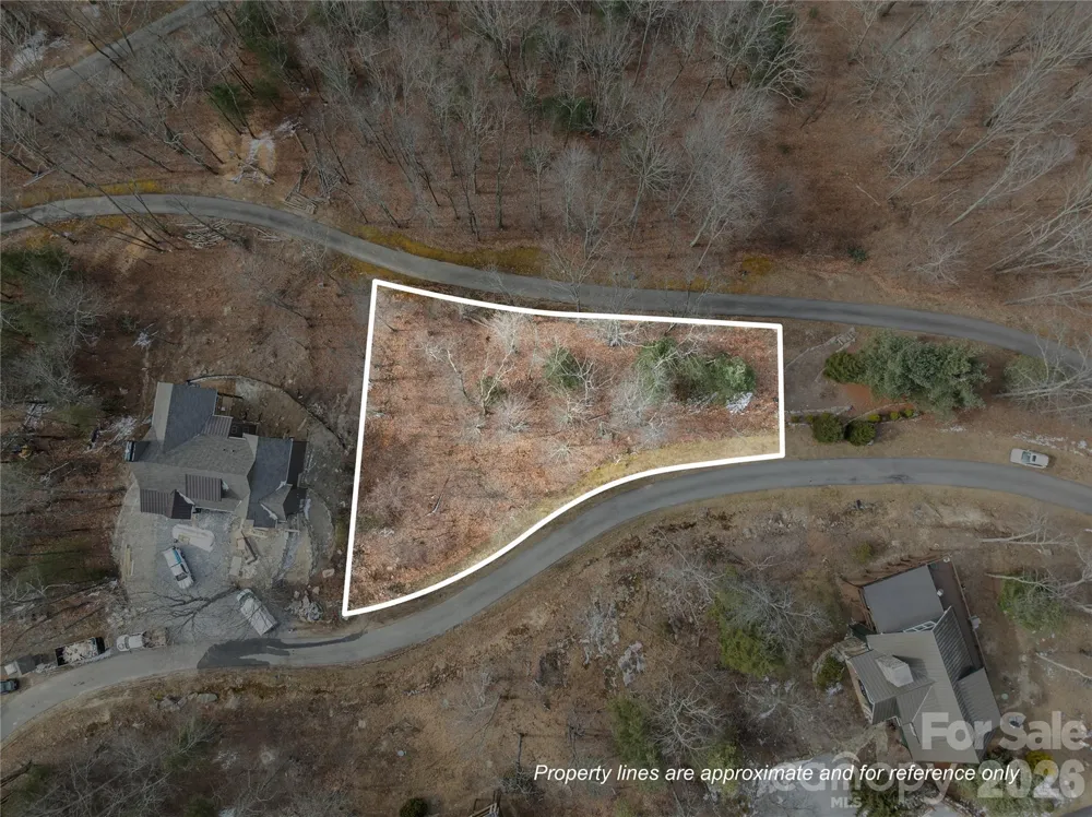 LT 42 Beechfern Drive #42 Glenville, NC 28736