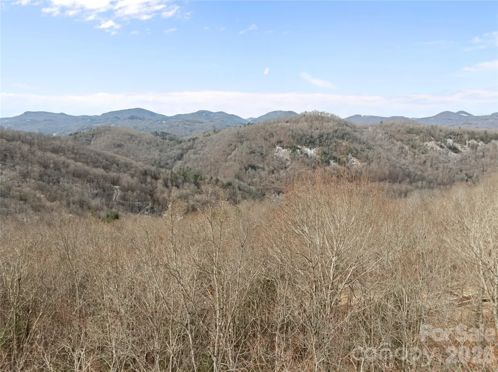 LT 42 Beechfern Drive #42 Glenville, NC 28736