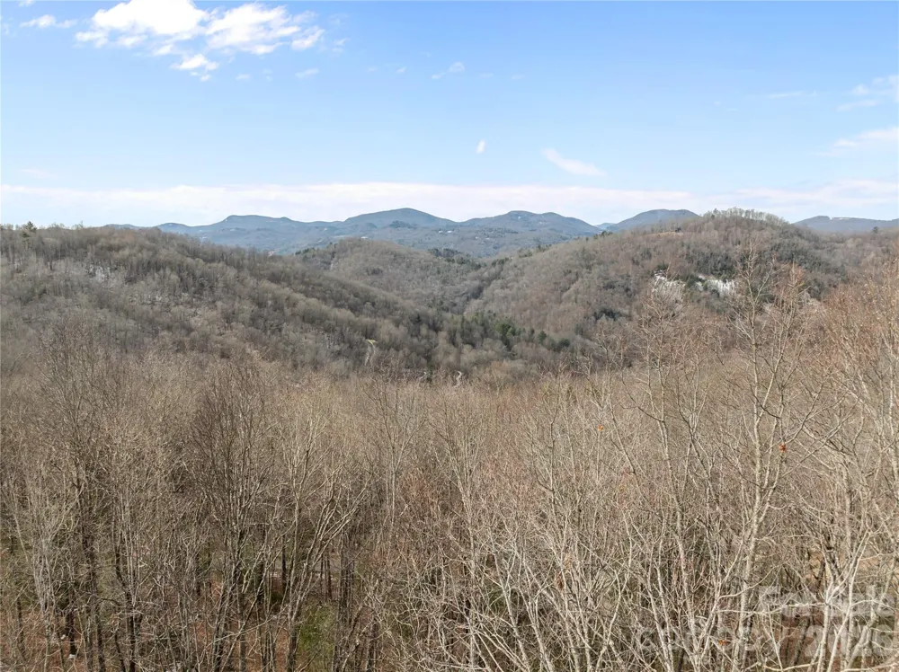 LT 42 Beechfern Drive #42 Glenville, NC 28736