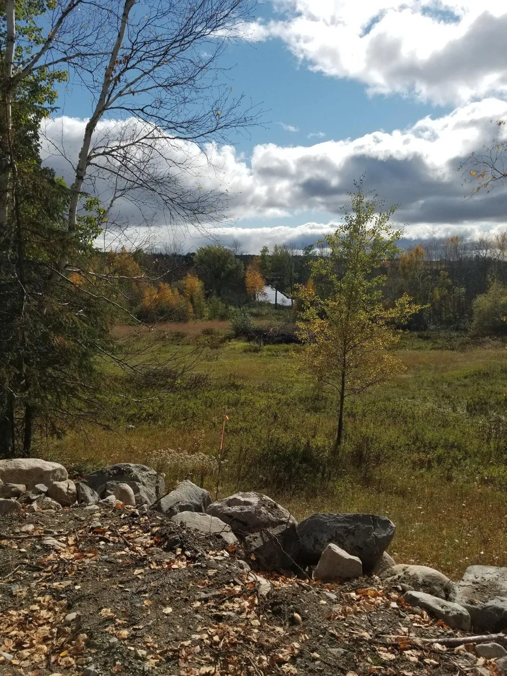 TBD 13 Lake Ave S Tower, MN 55790