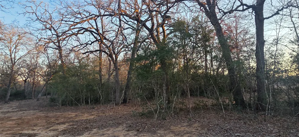 314 TBD ROAD Rockdale, TX 76567