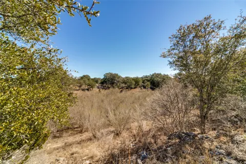 85 Palomino Springs
