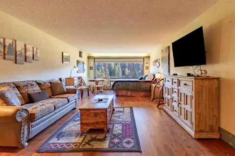 314 Tamarron Dr #427