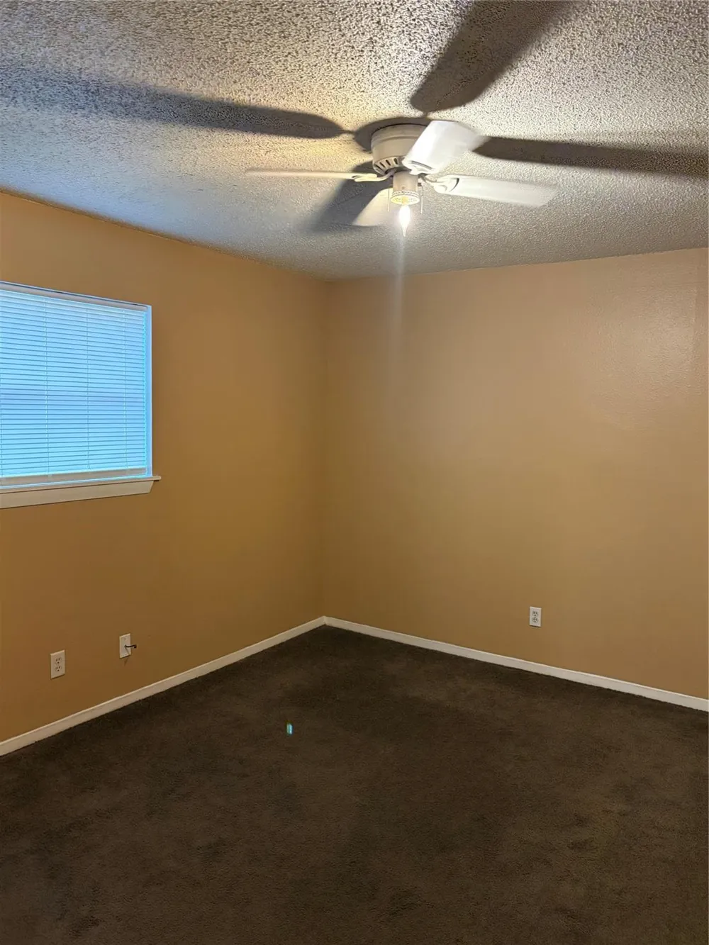 405 Oak Street #103 Brazoria, TX 77422