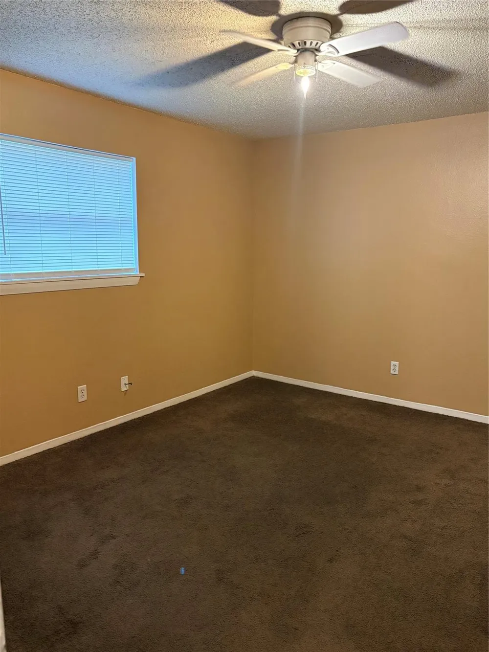 405 Oak Street #103 Brazoria, TX 77422