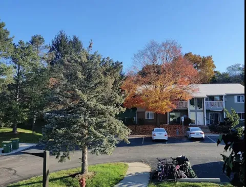 260 Maple Road