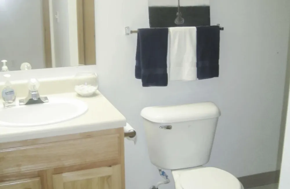 260 Maple Road Saline, MI 48176