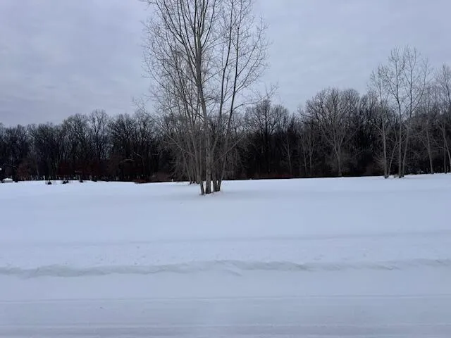 1964 Bridgets Way Gregory, MI 48137