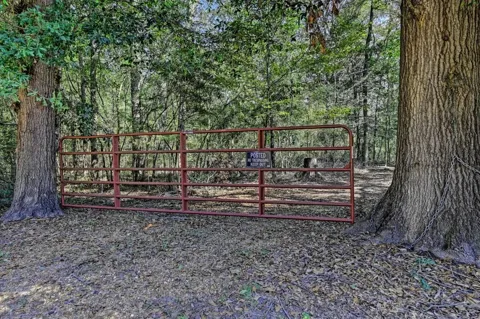 Bryan Lane