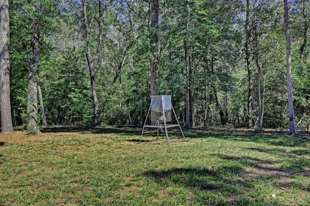 Bryan Lane Willis, TX 77378