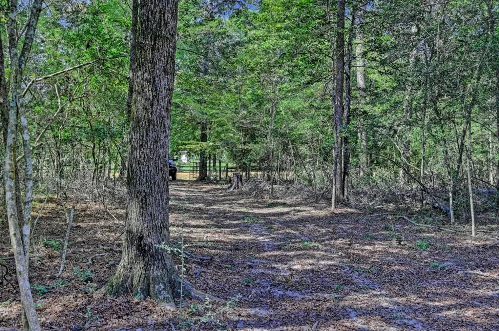 Bryan Lane Willis, TX 77378