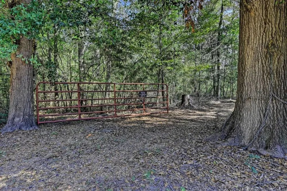 Bryan Lane Willis, TX 77378