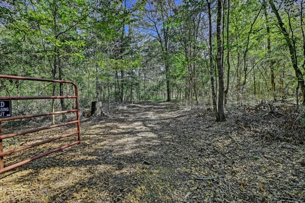 Bryan Lane Willis, TX 77378