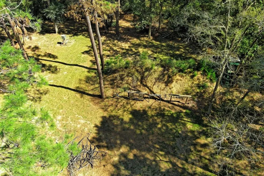 Bryan Lane Willis, TX 77378