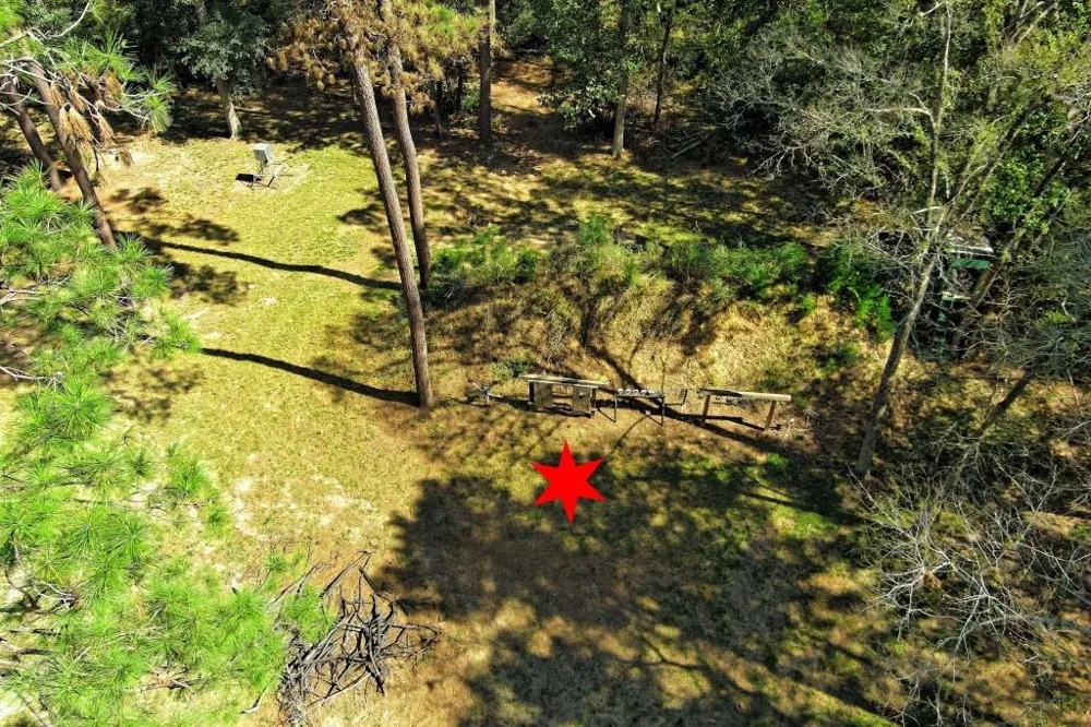 Bryan Lane Willis, TX 77378