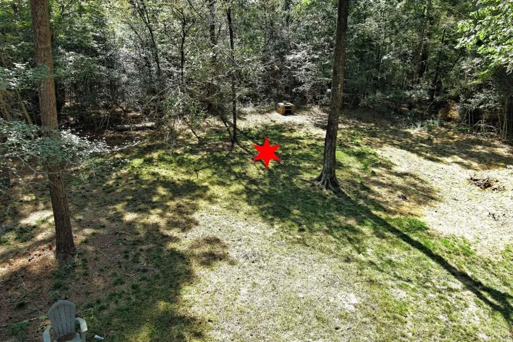 Bryan Lane Willis, TX 77378