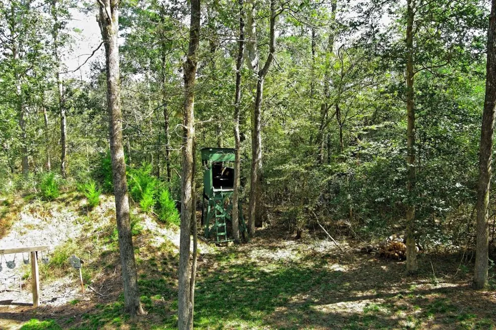 Bryan Lane Willis, TX 77378